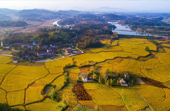 高水碘地區(qū)可以做哪些防治措施？