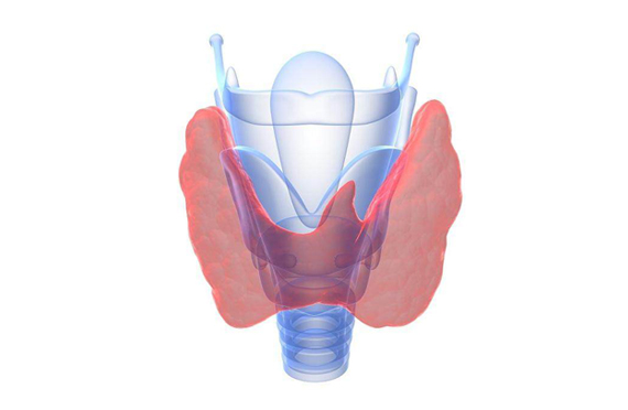 碘元素與甲狀腺不得不說(shuō)的那些事兒