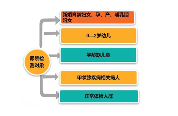 為什么要測碘？測碘的重要性有哪些？