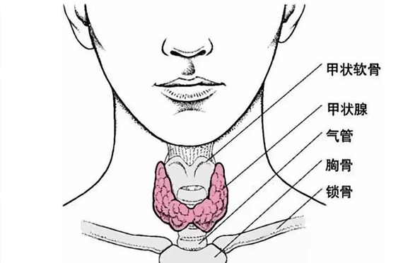 如何預(yù)防甲狀腺癌？